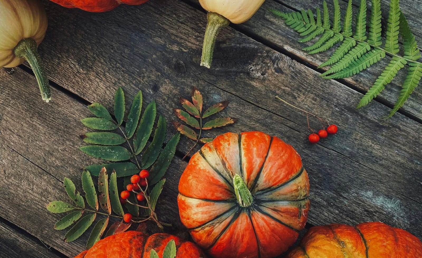 Homemade Pumpkin Puree: Roast, Blend and Freeze It Right